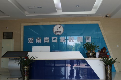 青鸟互联网学院